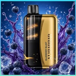 Alibarbar Swirl 13000 Puffs Blueberry blast